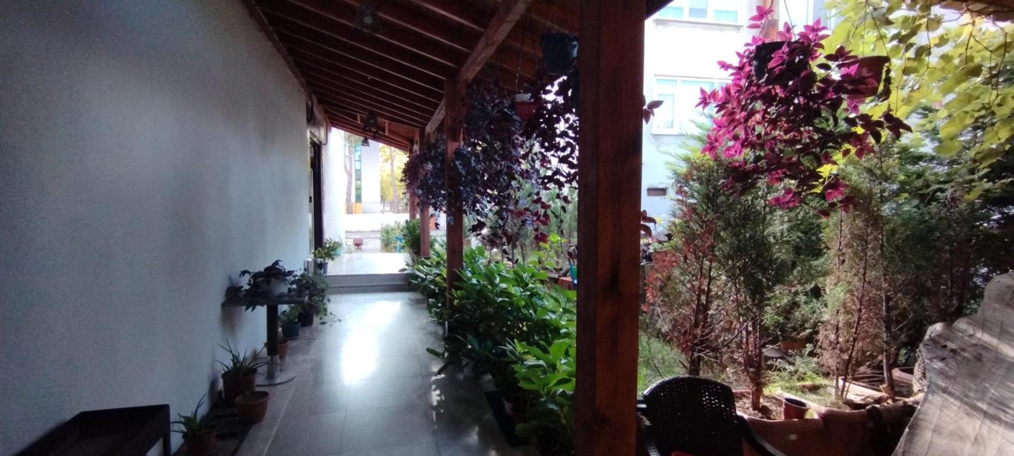 Ceneviz Suit Hotel Akcakoca Εξωτερικό φωτογραφία